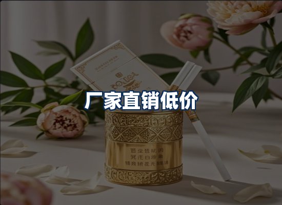 专业团队办公环境